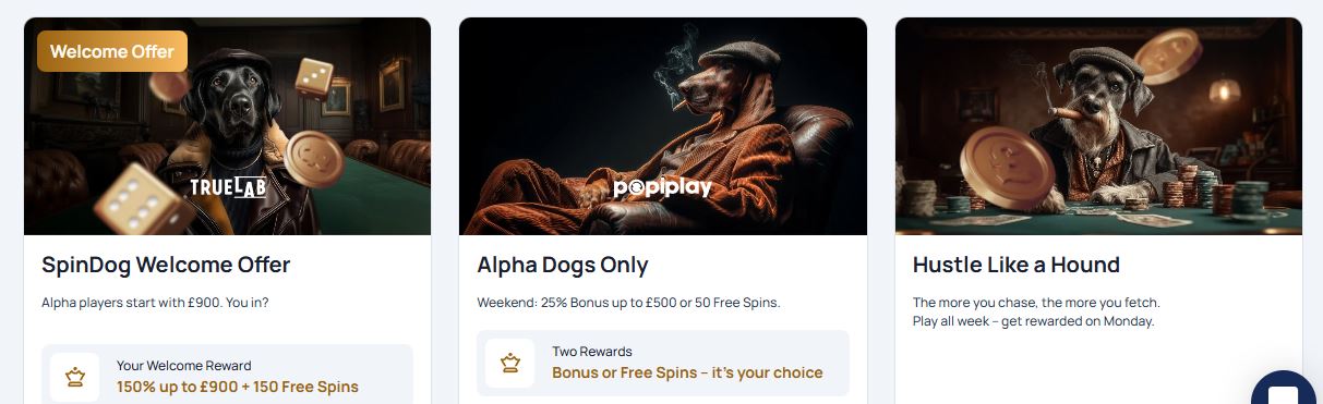 Browse available promotions and weekend rewards at SpinDog